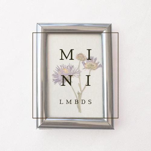 MINI Framed Floral Arrangements